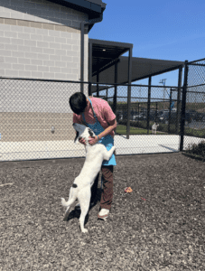 Me at the local dog shelter!